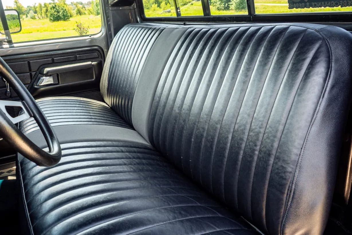 1979 Ford F-150, view