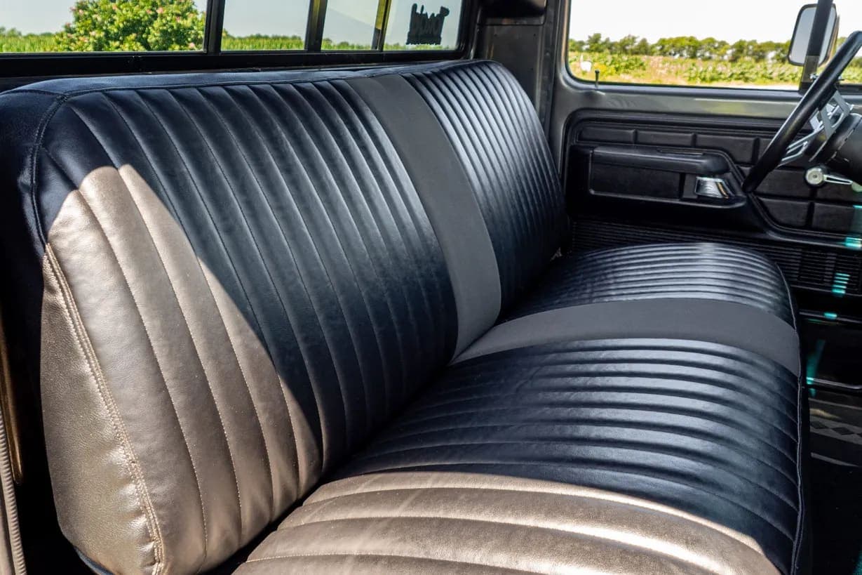 1979 Ford F-150, view
